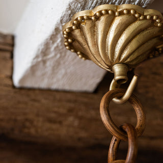 Shell Brass Ceiling Rose