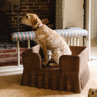 Lassie-dog-bed-with-a-dog