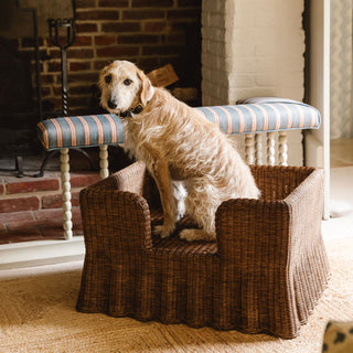 Lassie-dog-bed-large-with-a-dog 